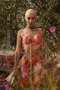 Foto Tentazioni Hot Transescort Milano Ath�na 3270729765 - 2