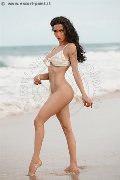 Foto Tentazioni Hot Transescort Modena Vanessa Hilton 3245846577 - 102