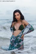 Foto Tentazioni Hot Transescort Modena Vanessa Hilton 3245846577 - 113
