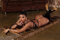 Foto Tentazioni Hot Transescort Parma Hillana Maya 3515831873 - 7