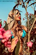 Foto Tentazioni Hot Transescort Roma Chrystal Medeiros Pornostar 3898313619 - 35