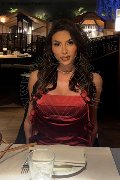 Foto Tentazioni Hot Transescort Verona Gabriela Lemos 3932598874 - 1