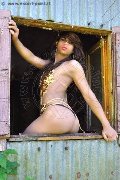 Foto Tentazioni Hot Trav Bologna Morena Boathy 3479893686 - 18