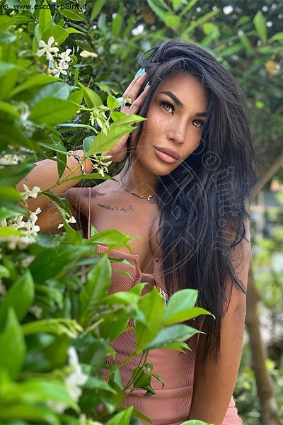 Mandy Asiatica  BOLOGNA 3270531479