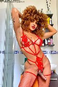 Foto Hot Tentazioni Hot Trans Milano Stella 3295563971 - 5