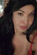 Prato Trans Tain� Oliveira 328 53 82 487 foto selfie 96