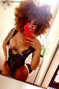 Rimini Trans Stella Ricci 329 55 63 971 foto selfie 2