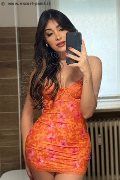Roma Trans Safina 334 25 85 465 foto selfie 4
