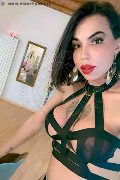 Treviso Trans Rayla Rios 329 38 77 403 foto selfie 2