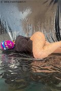 Foto Tentazioni Hot Escort Venezia Tiny Mouse 3284690312 - 16