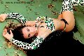 Foto Tentazioni Hot Trans Giussano Bella Solare 3347416269 - 23