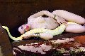 Foto Tentazioni Hot Transescort Lido Di Camaiore Belovie 3533134168 - 16