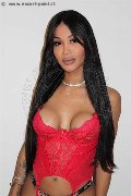 Foto Tentazioni Hot Transescort Roma Mikaella Pimentell Pornostar 3293410689 - 4