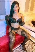 Foto Tentazioni Hot Travescort Anversa Paola 0032494369650 - 2